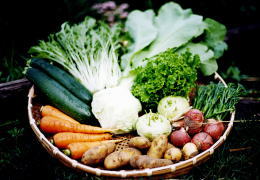 季節野菜のセット 写真